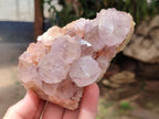 Natural Sunburst Amethyst Spirit Clusters x 2 From Boekenhouthoek, South Africa - Toprock Gemstones and Minerals 