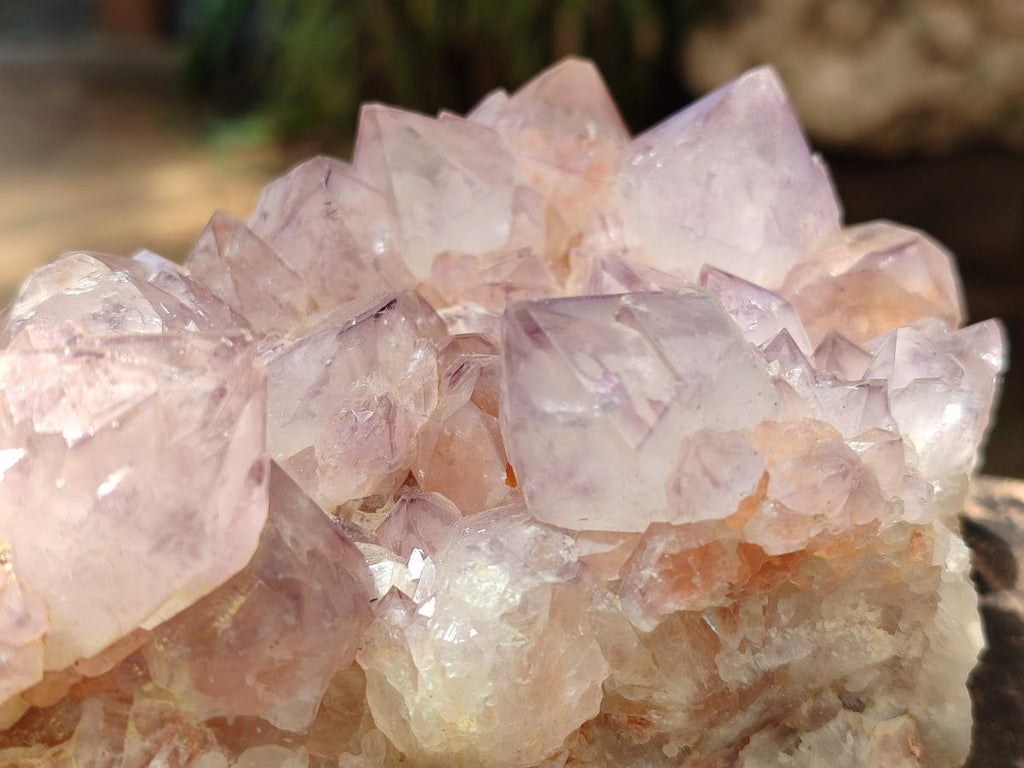 Natural Sunburst Amethyst Spirit Clusters x 2 From Boekenhouthoek, South Africa - Toprock Gemstones and Minerals 