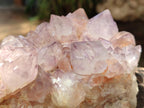 Natural Sunburst Amethyst Spirit Clusters x 2 From Boekenhouthoek, South Africa - Toprock Gemstones and Minerals 