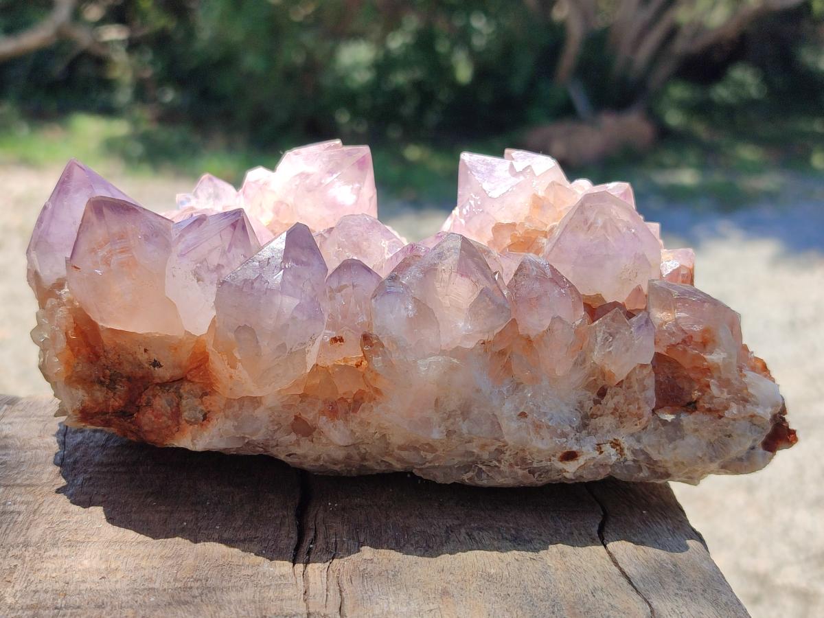 Natural Sunburst Amethyst Spirit Clusters x 2 From Boekenhouthoek, South Africa - Toprock Gemstones and Minerals 