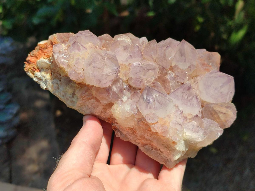 Natural Sunburst Amethyst Spirit Clusters x 2 From Boekenhouthoek, South Africa - Toprock Gemstones and Minerals 