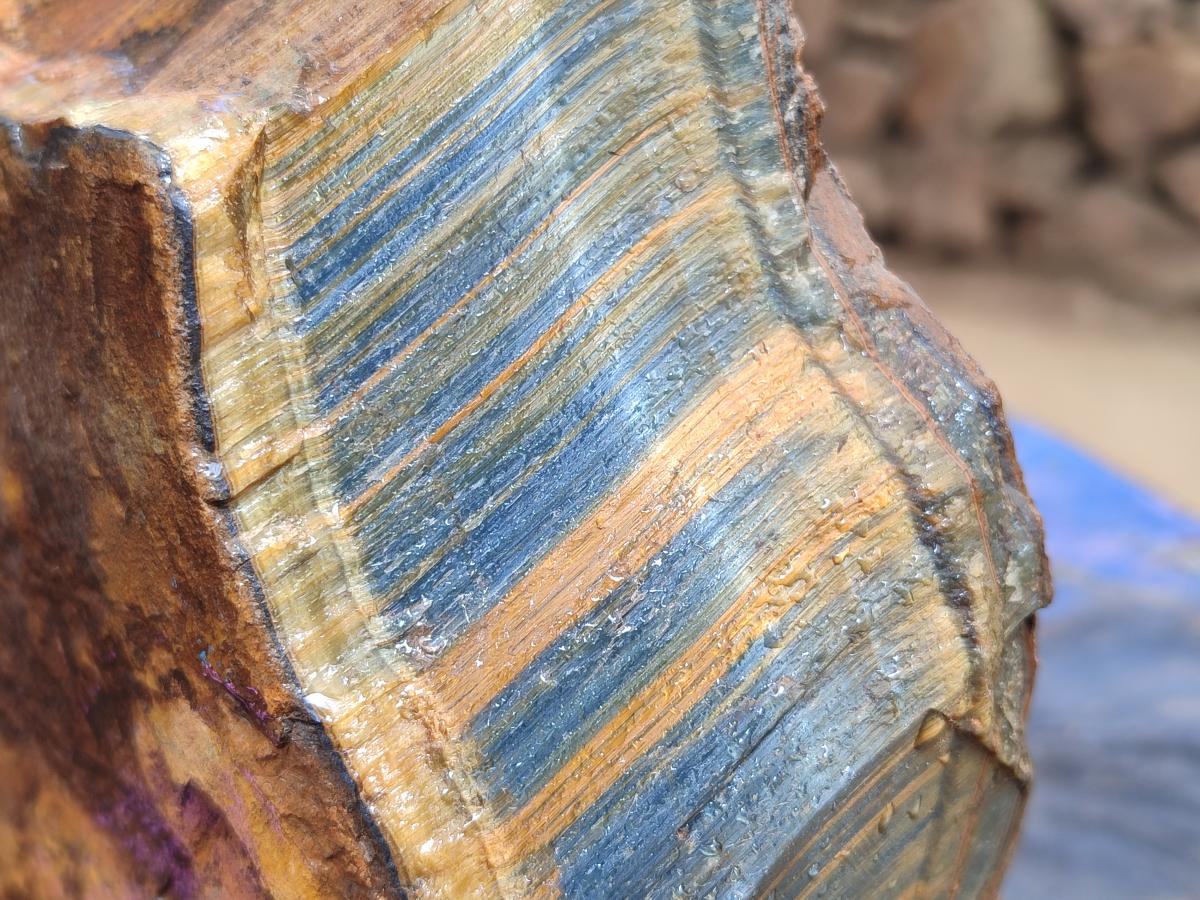 Natural Golden Blue Tigers Eye Slabs x 2 From Prieska, South Africa - Toprock Gemstones and Minerals 