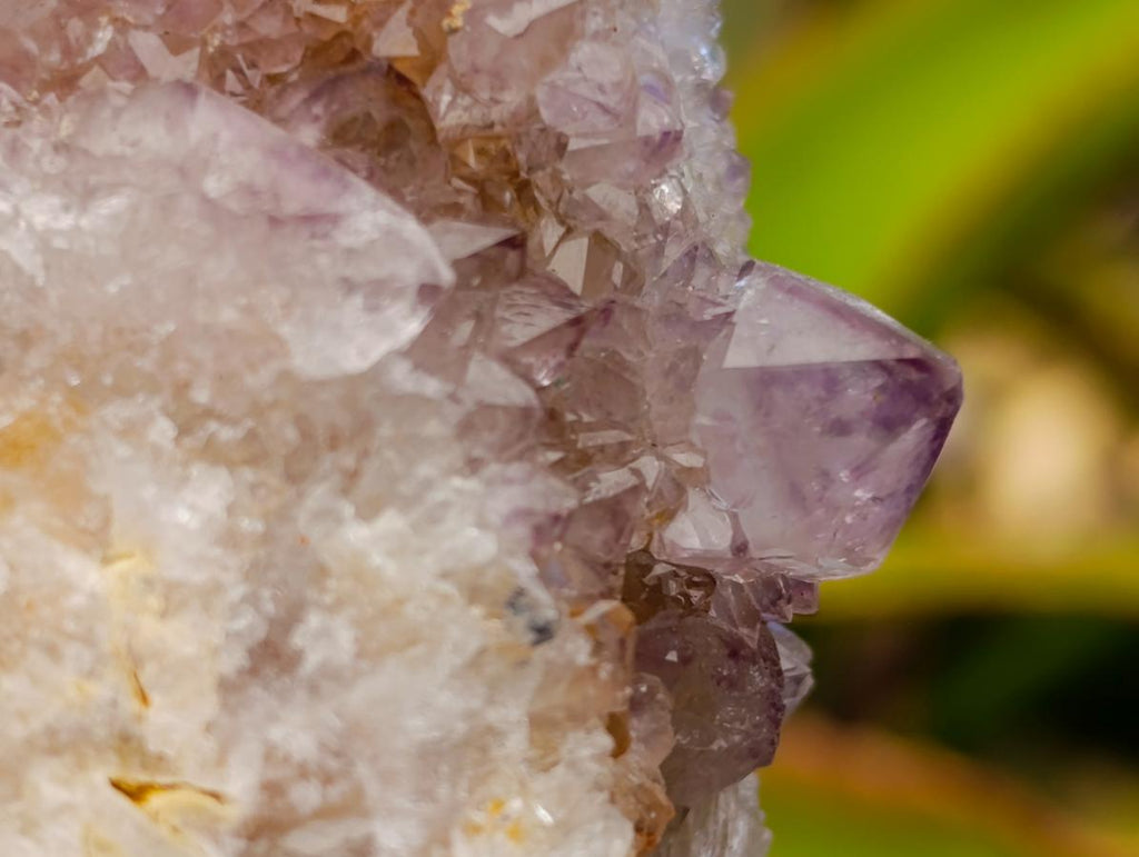 Natural Amethyst and Ametrine Spirit Clusters x 6 From Boekenhouthoek, South Africa - Toprock Gemstones and Minerals 