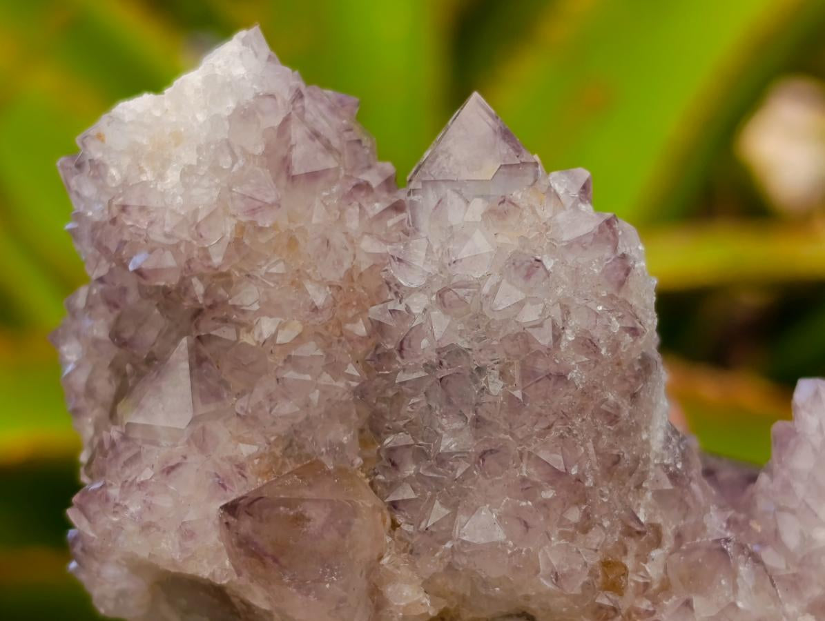 Natural Amethyst and Ametrine Spirit Clusters x 6 From Boekenhouthoek, South Africa - Toprock Gemstones and Minerals 