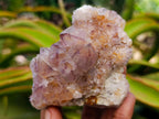 Natural Amethyst and Ametrine Spirit Clusters x 6 From Boekenhouthoek, South Africa - Toprock Gemstones and Minerals 
