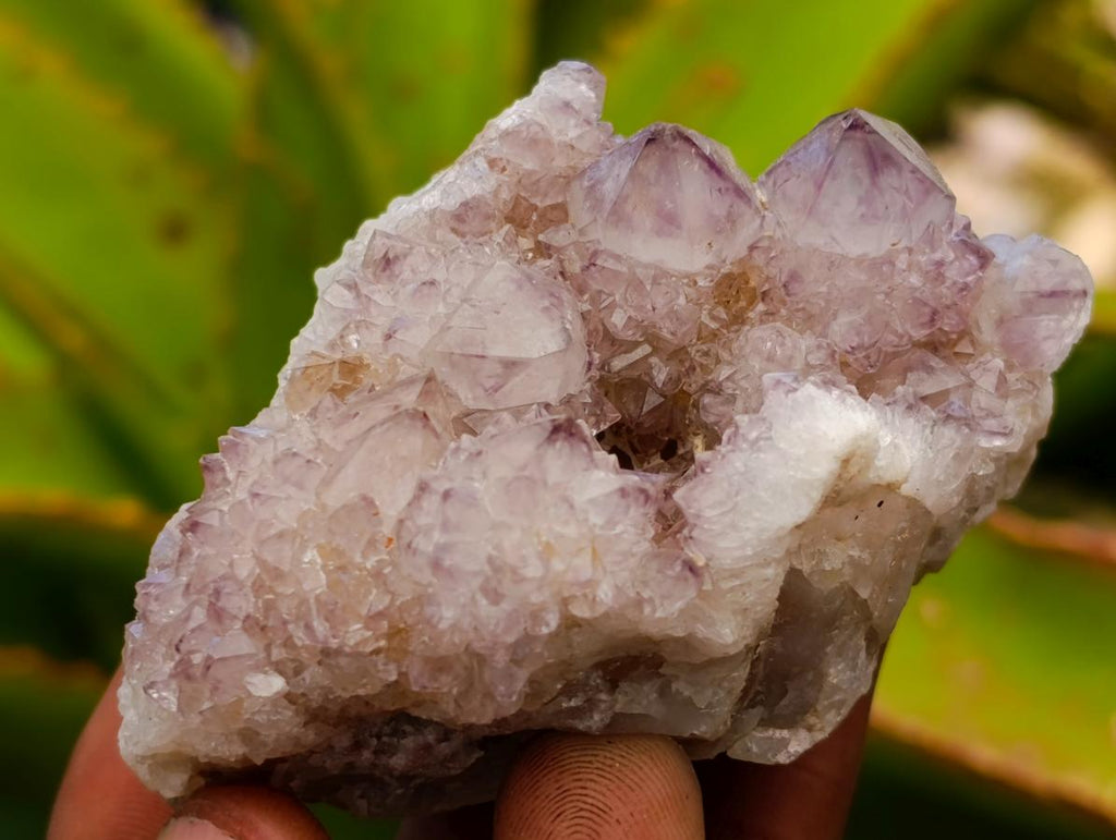 Natural Amethyst and Ametrine Spirit Clusters x 6 From Boekenhouthoek, South Africa - Toprock Gemstones and Minerals 
