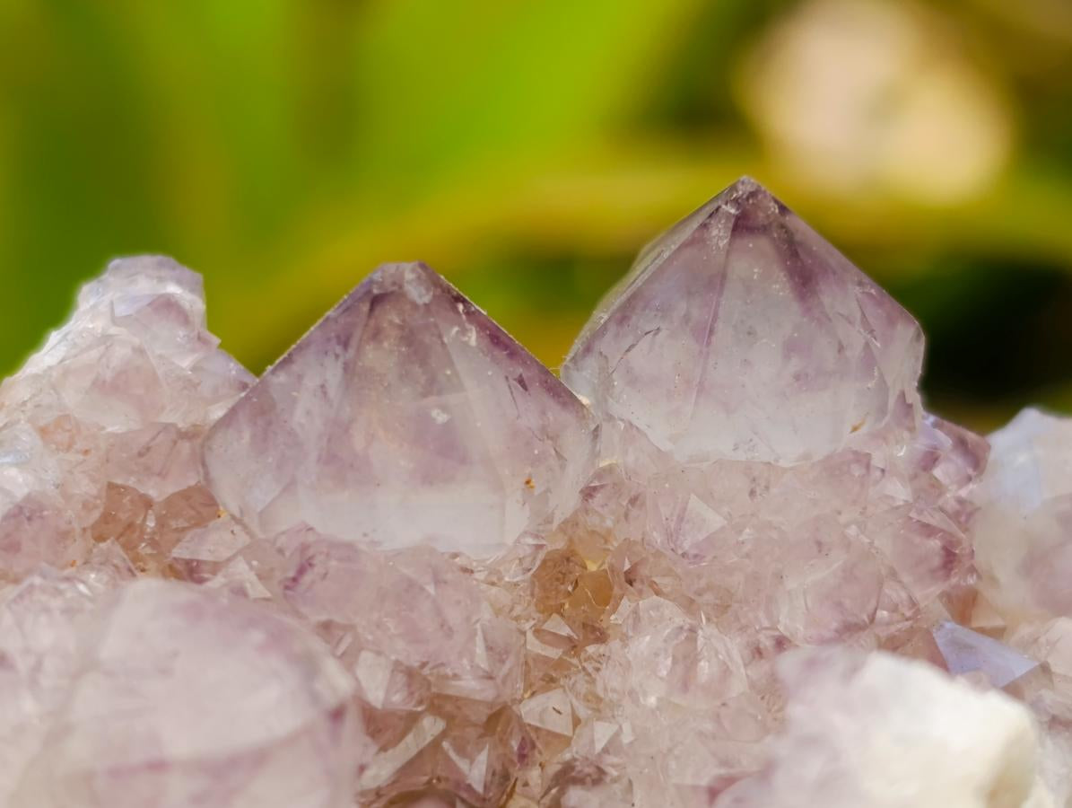 Natural Amethyst and Ametrine Spirit Clusters x 6 From Boekenhouthoek, South Africa - Toprock Gemstones and Minerals 