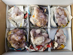 Natural Amethyst and Ametrine Spirit Clusters x 6 From Boekenhouthoek, South Africa - Toprock Gemstones and Minerals 