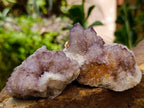Natural Amethyst and Ametrine Spirit Clusters x 6 From Boekenhouthoek, South Africa - Toprock Gemstones and Minerals 