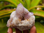 Natural Amethyst and Ametrine Spirit Clusters x 6 From Boekenhouthoek, South Africa - Toprock Gemstones and Minerals 