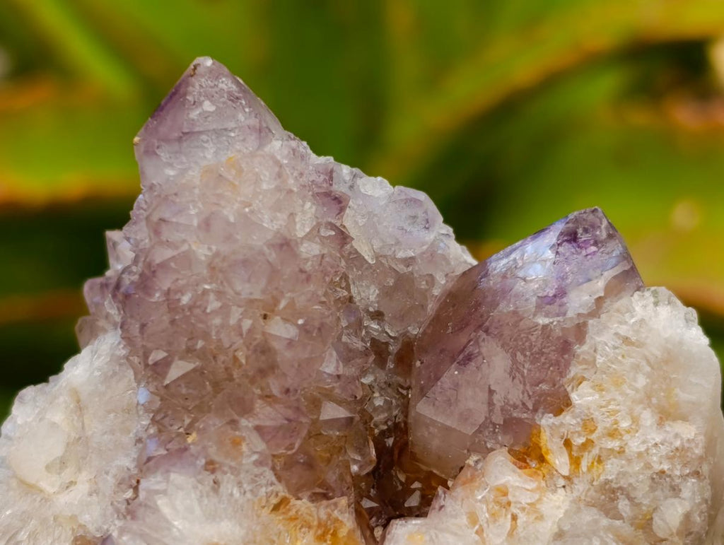 Natural Amethyst and Ametrine Spirit Clusters x 6 From Boekenhouthoek, South Africa - Toprock Gemstones and Minerals 