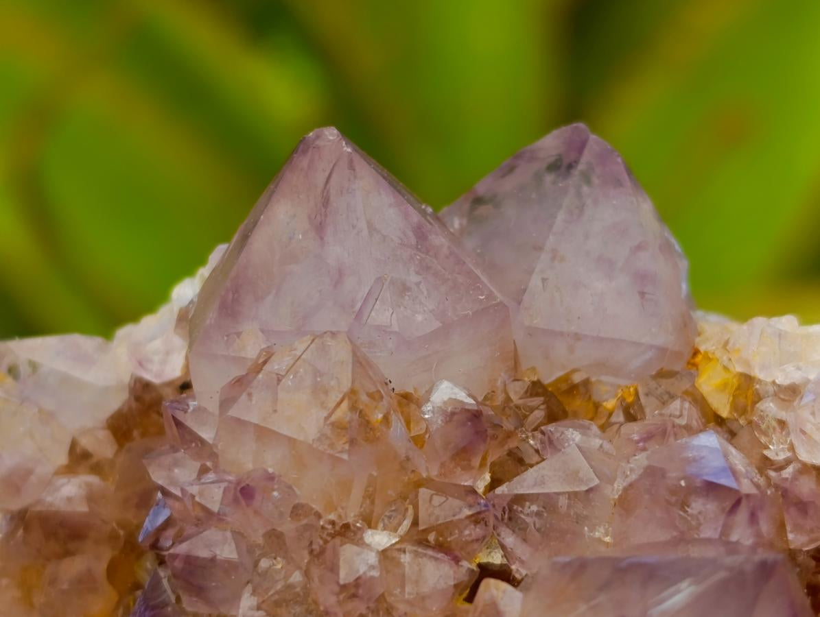 Natural Amethyst and Ametrine Spirit Clusters x 6 From Boekenhouthoek, South Africa - Toprock Gemstones and Minerals 