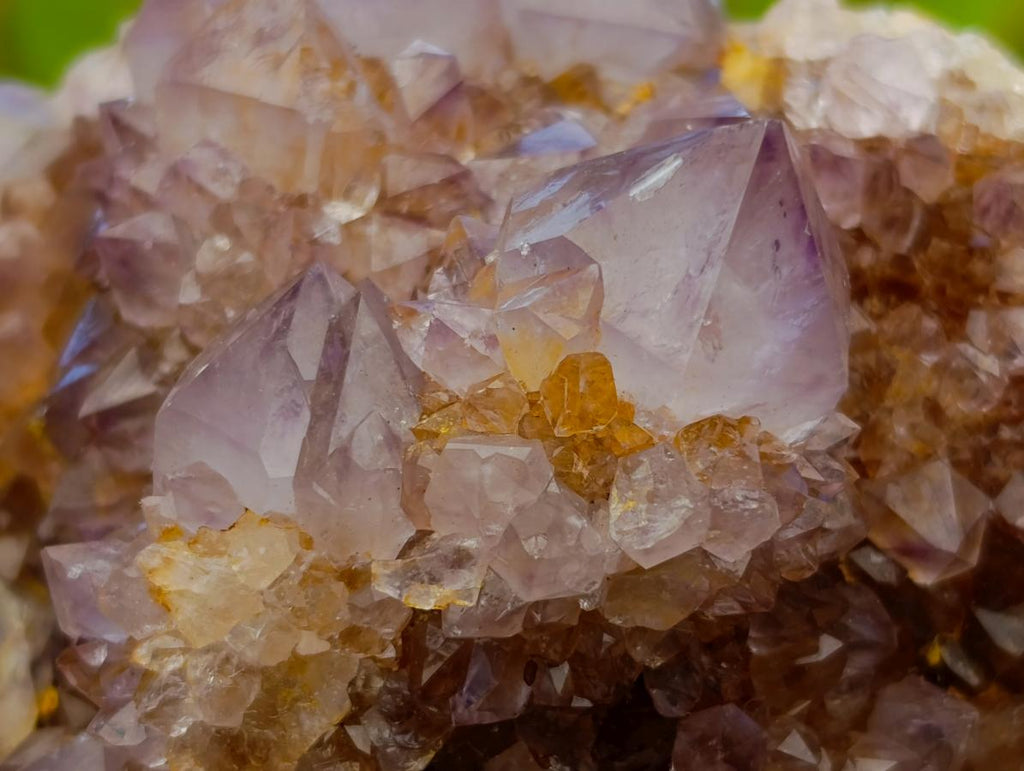 Natural Amethyst and Ametrine Spirit Clusters x 6 From Boekenhouthoek, South Africa - Toprock Gemstones and Minerals 
