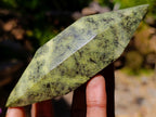 Polished Double Terminated Leopard Stone Crystals x 24 From Zimbabwe - Toprock Gemstones and Minerals 