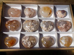 Polished Flower Agate Hearts x 12 From Antsahalova, Madagascar - Toprock Gemstones and Minerals 