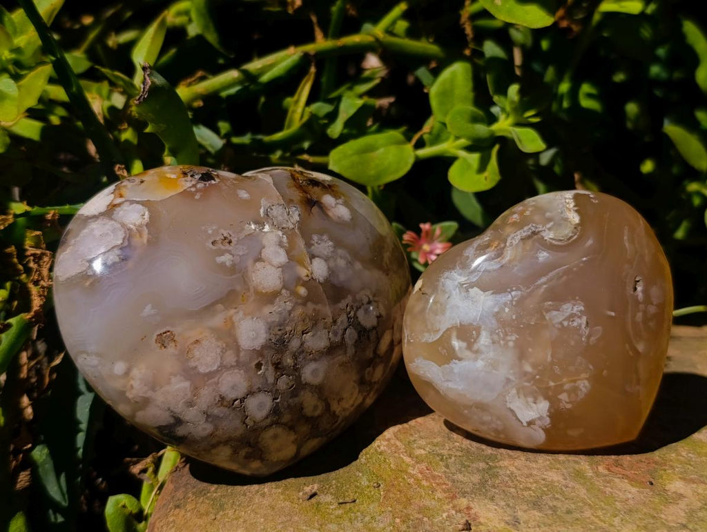 Polished Flower Agate Hearts x 12 From Antsahalova, Madagascar - Toprock Gemstones and Minerals 