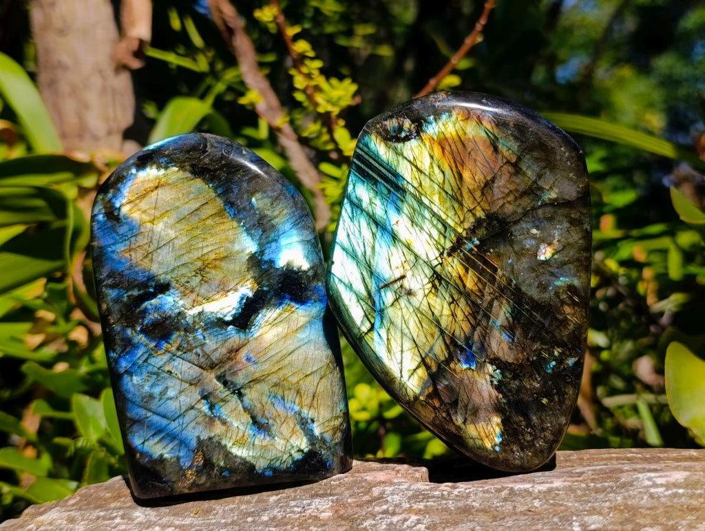 Polished Labradorite Standing Free Forms x 2 From Madagascar - Toprock Gemstones and Minerals 