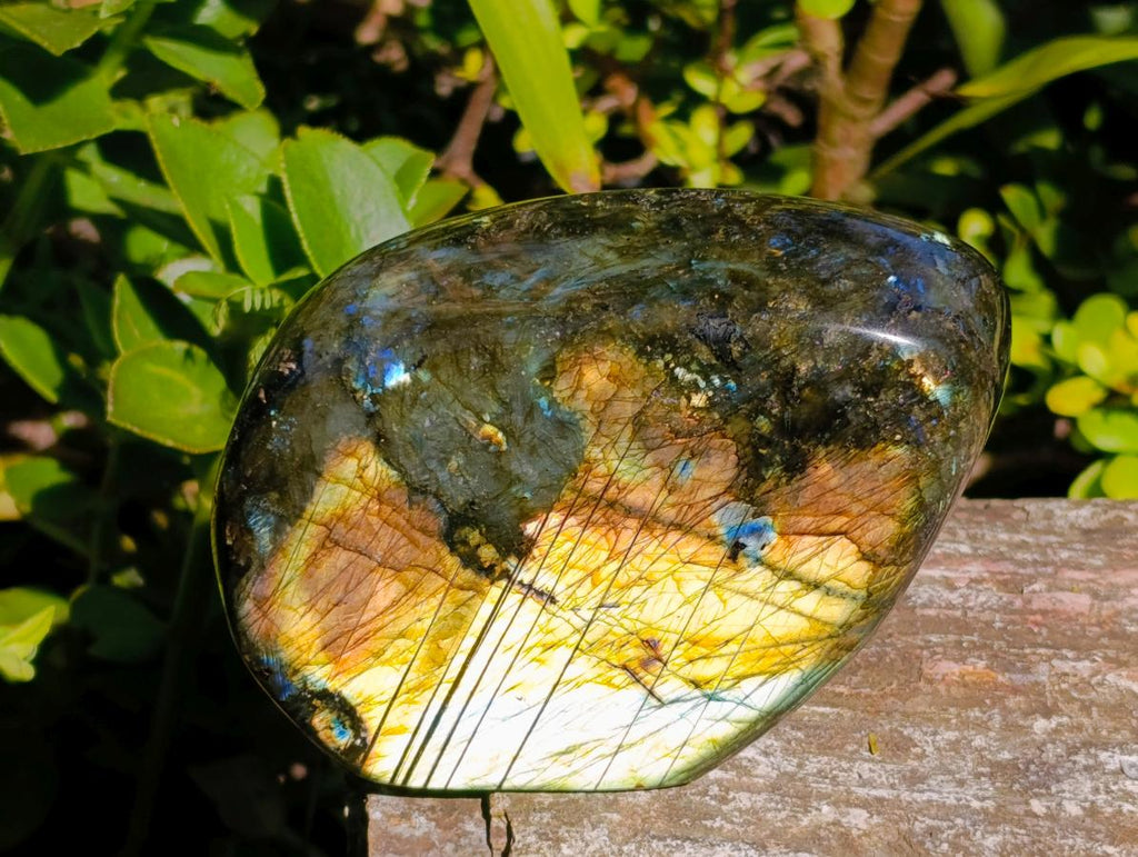 Polished Labradorite Standing Free Forms x 2 From Madagascar - Toprock Gemstones and Minerals 