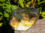 Polished Labradorite Standing Free Forms x 2 From Madagascar - Toprock Gemstones and Minerals 