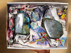Polished Labradorite Standing Free Forms x 2 From Madagascar - Toprock Gemstones and Minerals 