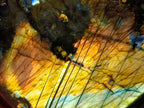 Polished Labradorite Standing Free Forms x 2 From Madagascar - Toprock Gemstones and Minerals 