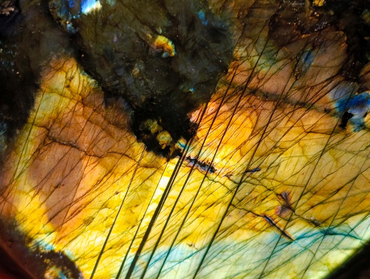 Polished Labradorite Standing Free Forms x 2 From Madagascar - Toprock Gemstones and Minerals 