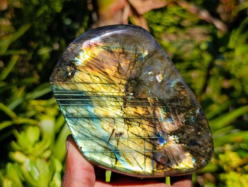 Polished Labradorite Standing Free Forms x 2 From Madagascar - Toprock Gemstones and Minerals 