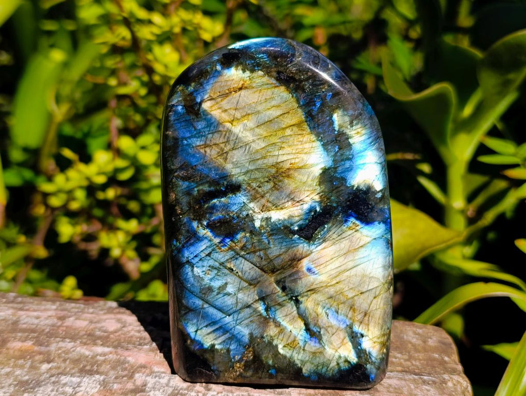 Polished Labradorite Standing Free Forms x 2 From Madagascar - Toprock Gemstones and Minerals 