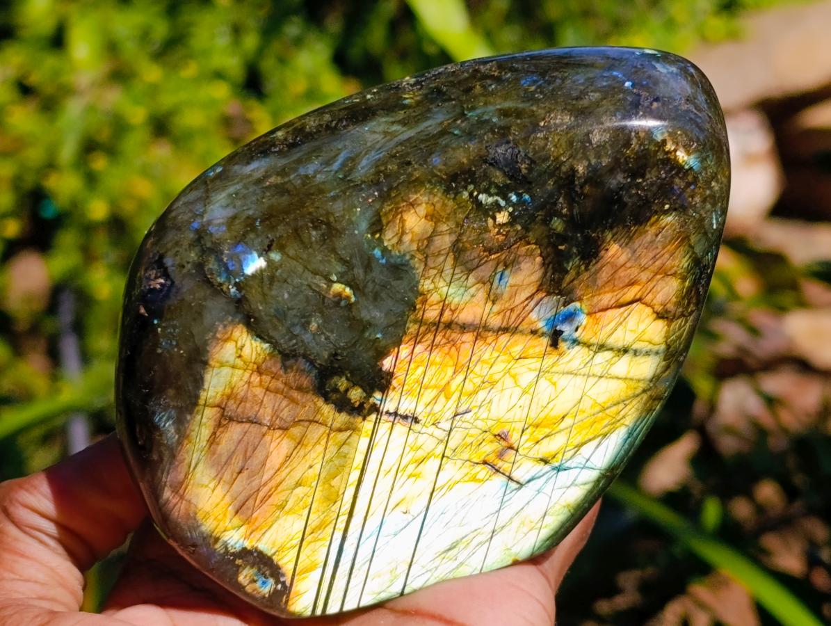 Polished Labradorite Standing Free Forms x 2 From Madagascar - Toprock Gemstones and Minerals 