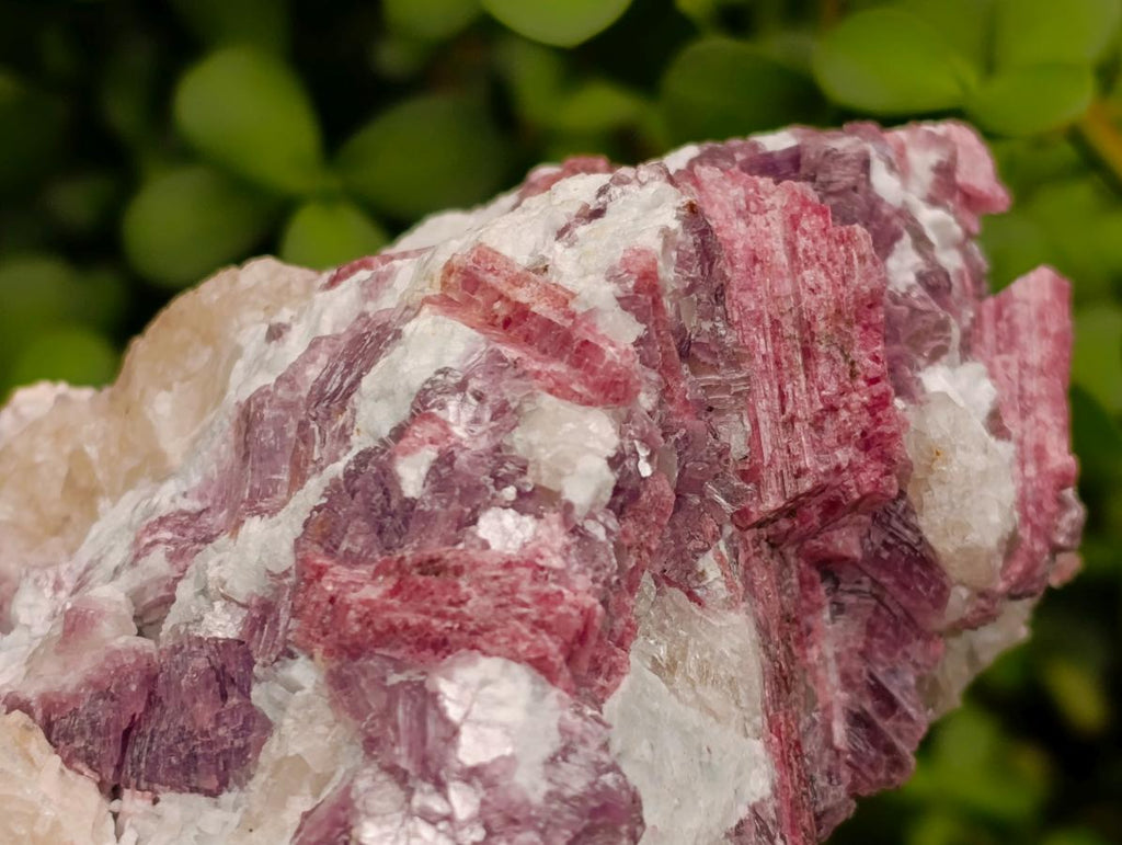 Natural Pink Rubellite Tourmaline Specimens x 2 From Karibib, Namibia - Toprock Gemstones and Minerals 