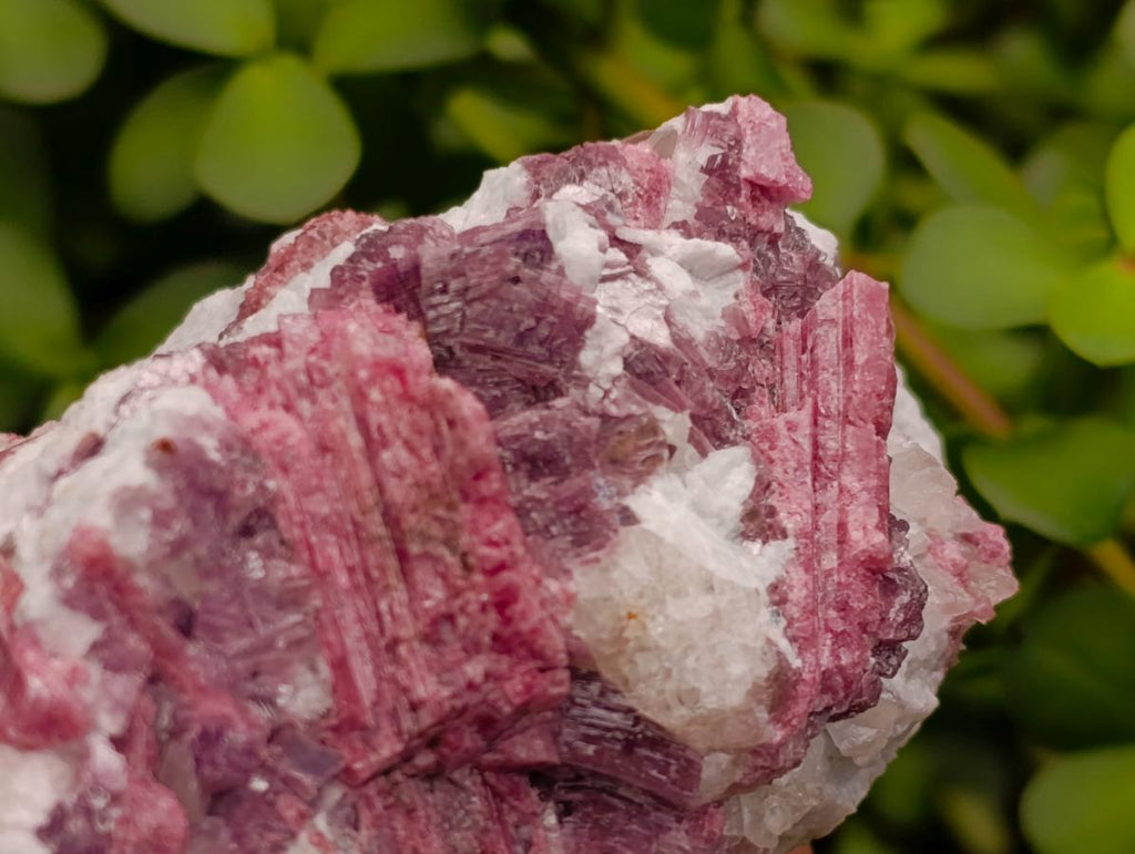 Natural Pink Rubellite Tourmaline Specimens x 2 From Karibib, Namibia - Toprock Gemstones and Minerals 