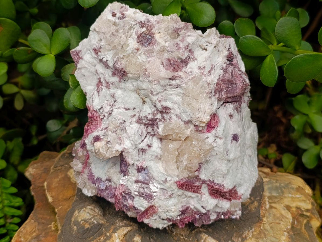 Natural Pink Rubellite Tourmaline Specimens x 2 From Karibib, Namibia - Toprock Gemstones and Minerals 
