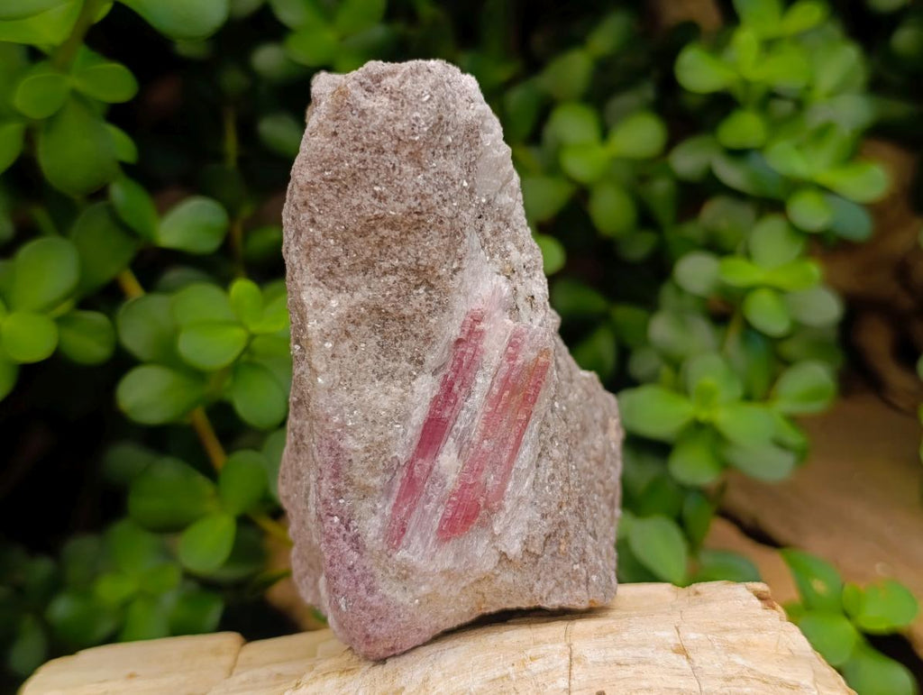 Natural Pink Rubellite Tourmaline Specimens x 2 From Karibib, Namibia - Toprock Gemstones and Minerals 