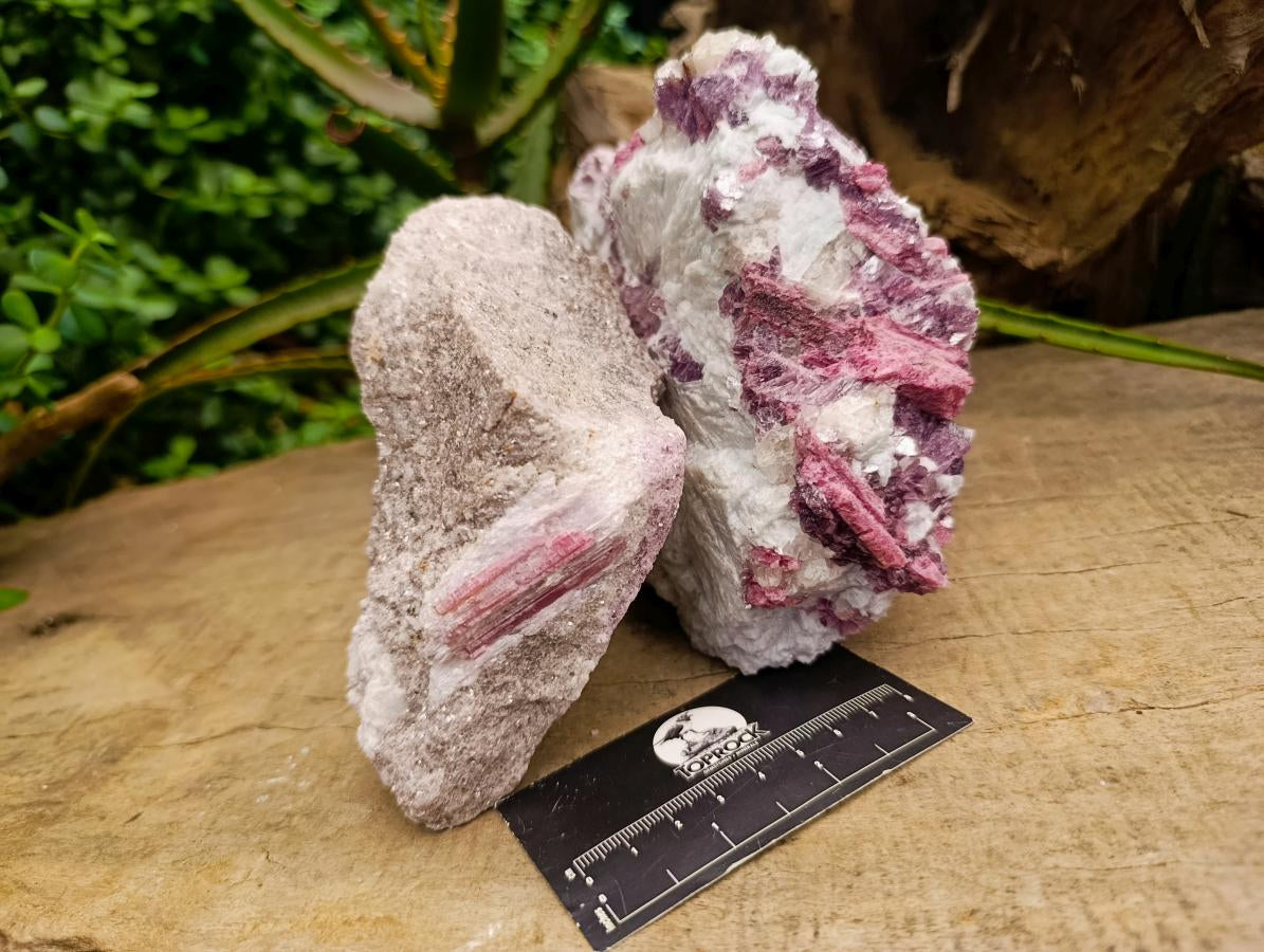 Natural Pink Rubellite Tourmaline Specimens x 2 From Karibib, Namibia - Toprock Gemstones and Minerals 