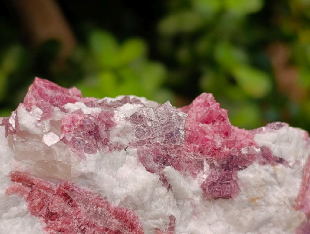 Natural Pink Rubellite Tourmaline Specimens x 2 From Karibib, Namibia - Toprock Gemstones and Minerals 