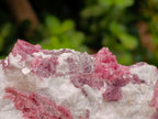 Natural Pink Rubellite Tourmaline Specimens x 2 From Karibib, Namibia - Toprock Gemstones and Minerals 