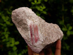 Natural Pink Rubellite Tourmaline Specimens x 2 From Karibib, Namibia - Toprock Gemstones and Minerals 