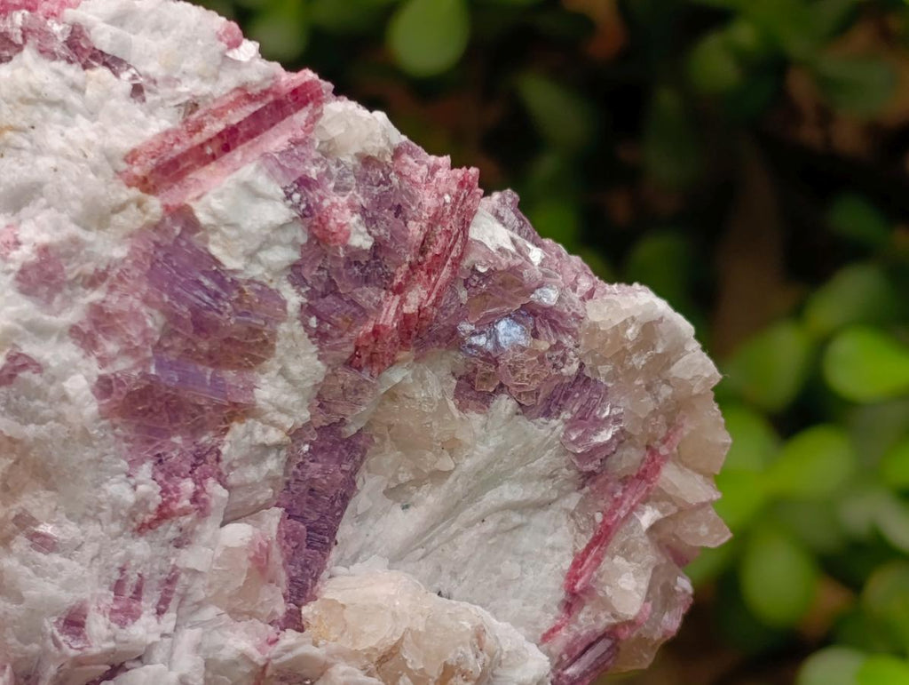 Natural Pink Rubellite Tourmaline Specimens x 2 From Karibib, Namibia - Toprock Gemstones and Minerals 