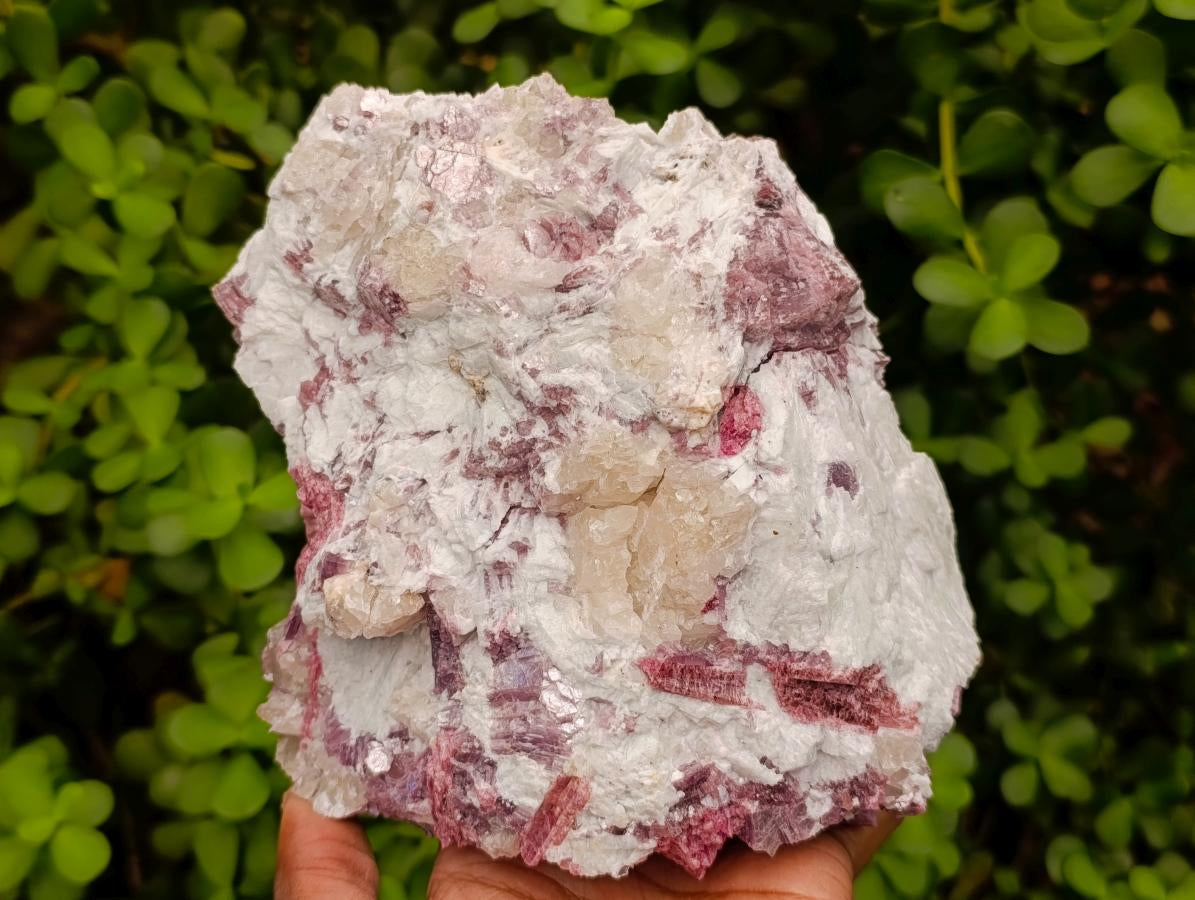 Natural Pink Rubellite Tourmaline Specimens x 2 From Karibib, Namibia - Toprock Gemstones and Minerals 