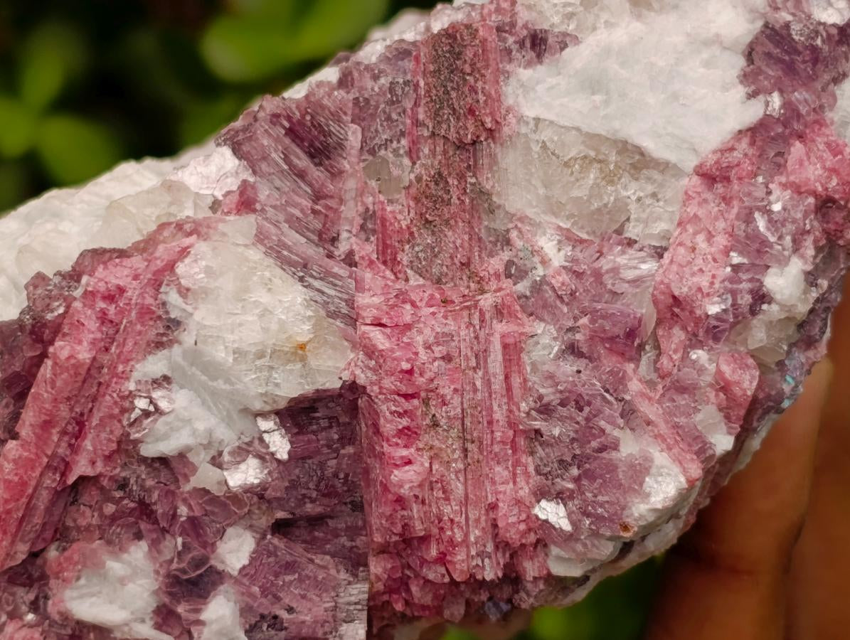 Natural Pink Rubellite Tourmaline Specimens x 2 From Karibib, Namibia - Toprock Gemstones and Minerals 