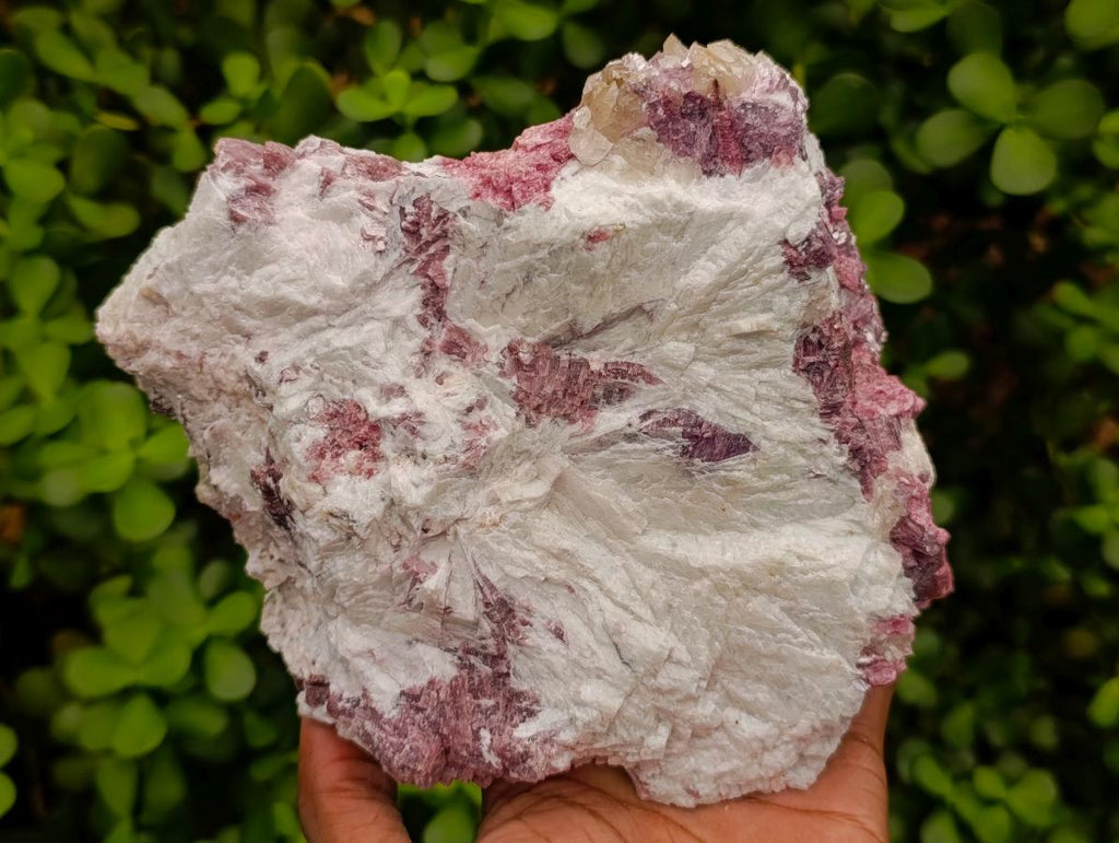 Natural Pink Rubellite Tourmaline Specimens x 2 From Karibib, Namibia - Toprock Gemstones and Minerals 