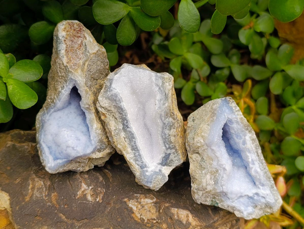 Natural Blue Lace Agate Geode Specimens x 12 From Nsanje, Malawi - Toprock Gemstones and Minerals 