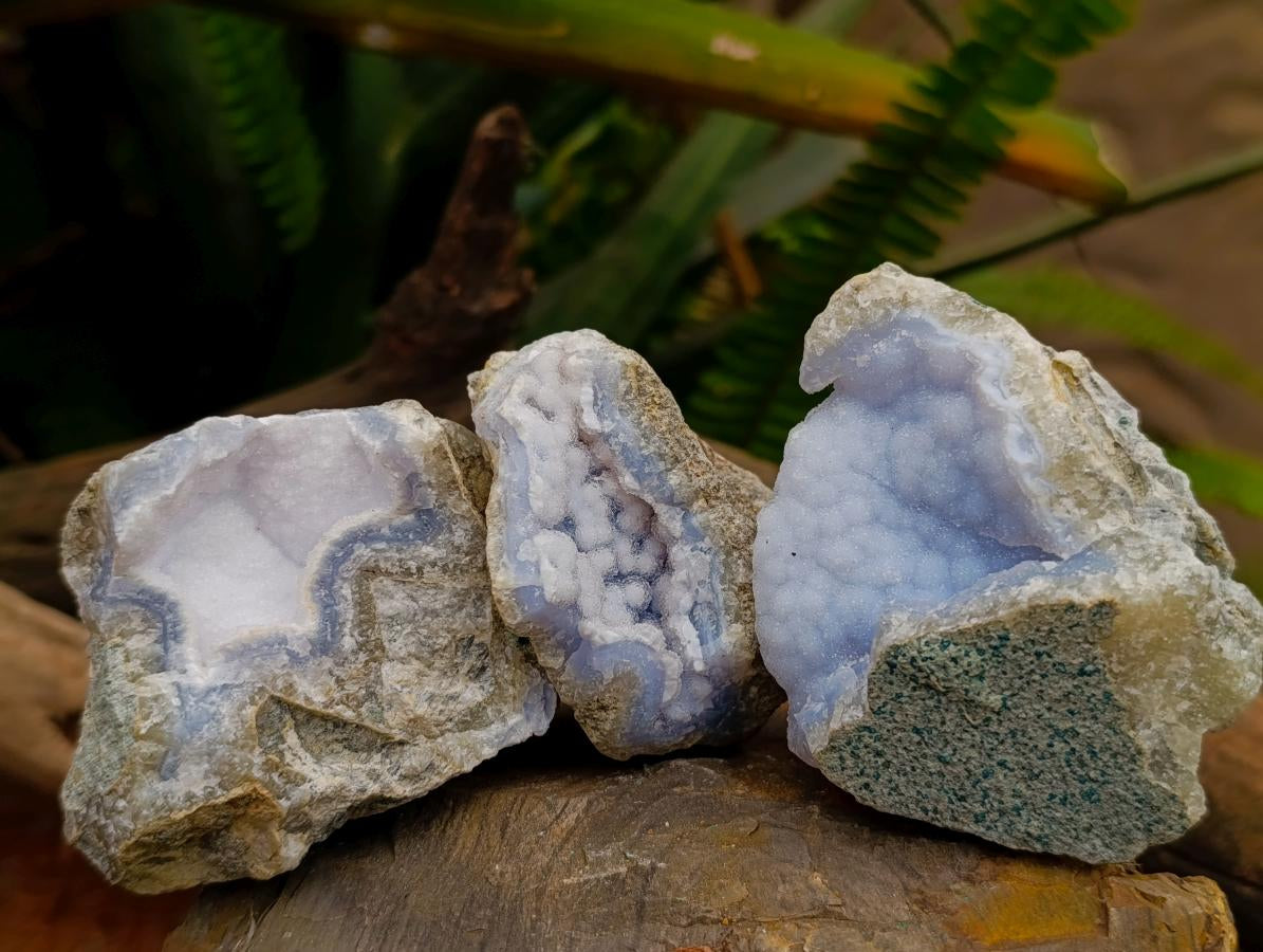 Natural Blue Lace Agate Geode Specimens x 12 From Nsanje, Malawi - Toprock Gemstones and Minerals 