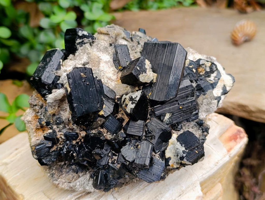 Natural Large Schorl Black Tourmaline Crystal and Cluster x 2 From Erongo, Namibia - Toprock Gemstones and Minerals 