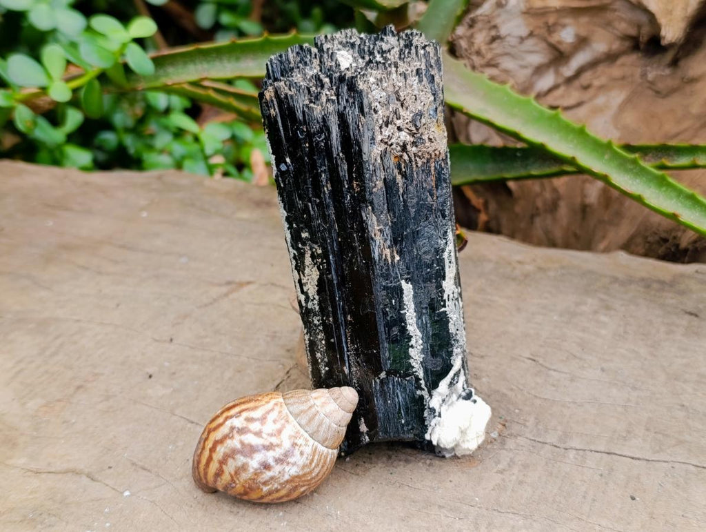Natural Large Schorl Black Tourmaline Crystal and Cluster x 2 From Erongo, Namibia - Toprock Gemstones and Minerals 