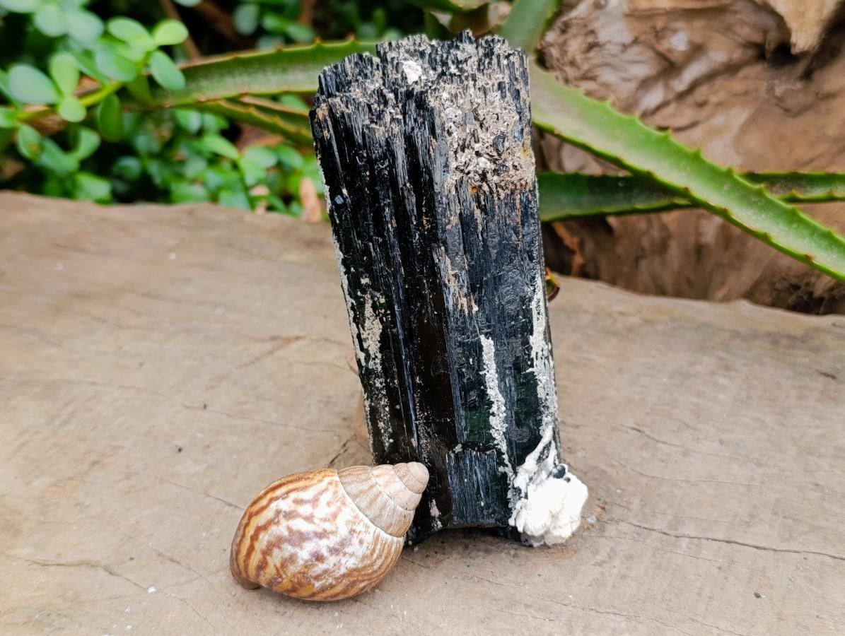 Natural Large Schorl Black Tourmaline Crystal and Cluster x 2 From Erongo, Namibia - Toprock Gemstones and Minerals 