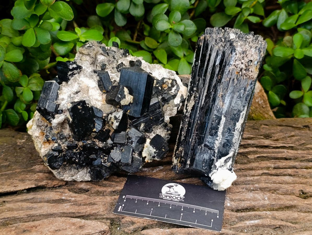 Natural Large Schorl Black Tourmaline Crystal and Cluster x 2 From Erongo, Namibia - Toprock Gemstones and Minerals 