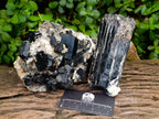 Natural Large Schorl Black Tourmaline Crystal and Cluster x 2 From Erongo, Namibia - Toprock Gemstones and Minerals 