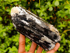Natural Large Schorl Black Tourmaline Crystal and Cluster x 2 From Erongo, Namibia - Toprock Gemstones and Minerals 