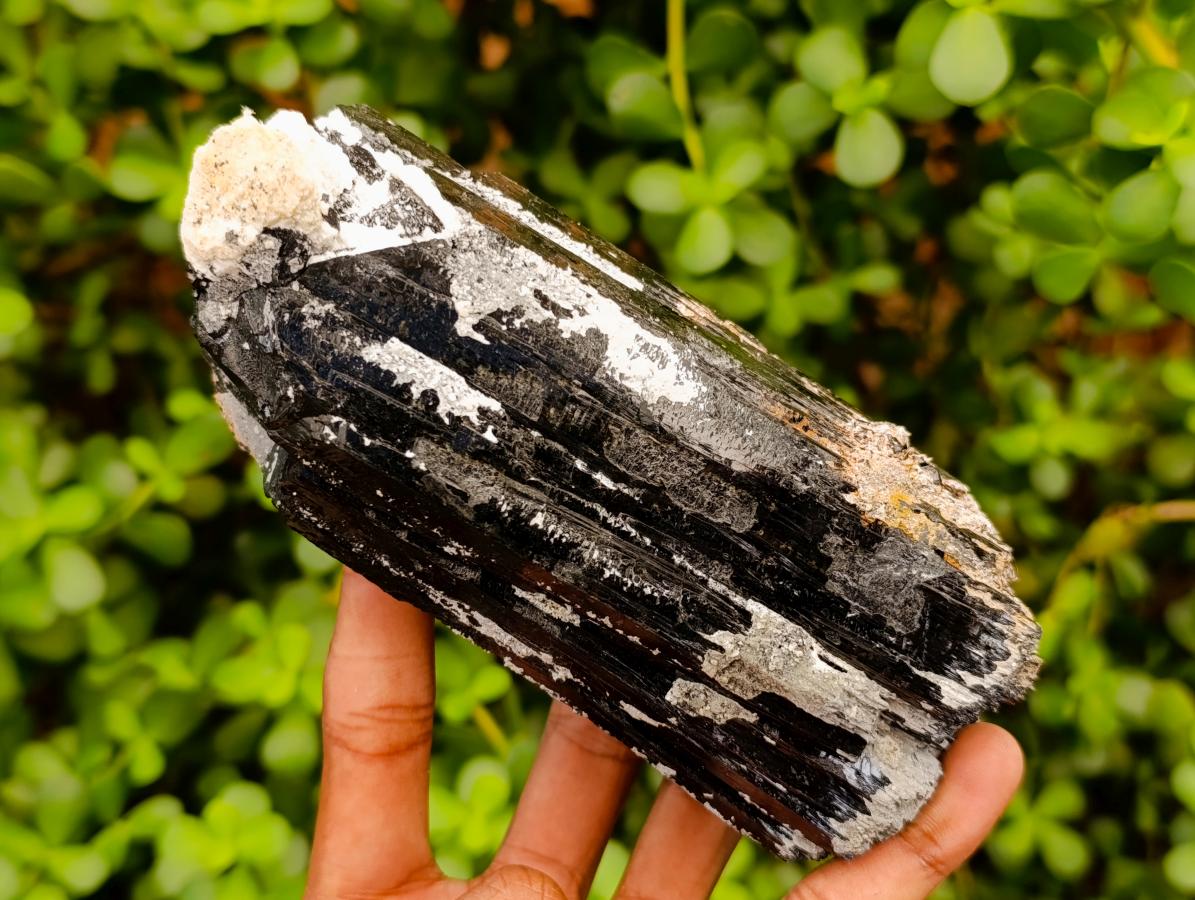 Natural Large Schorl Black Tourmaline Crystal and Cluster x 2 From Erongo, Namibia - Toprock Gemstones and Minerals 